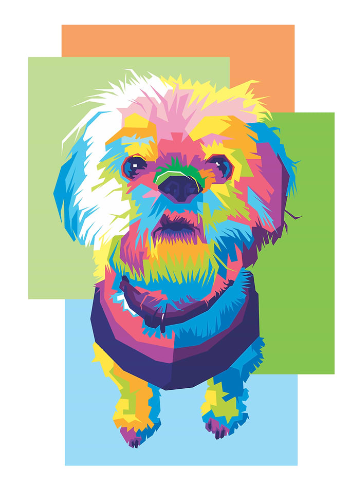 The dog