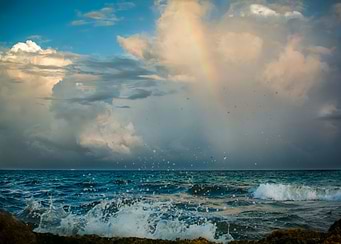 Wild nature series