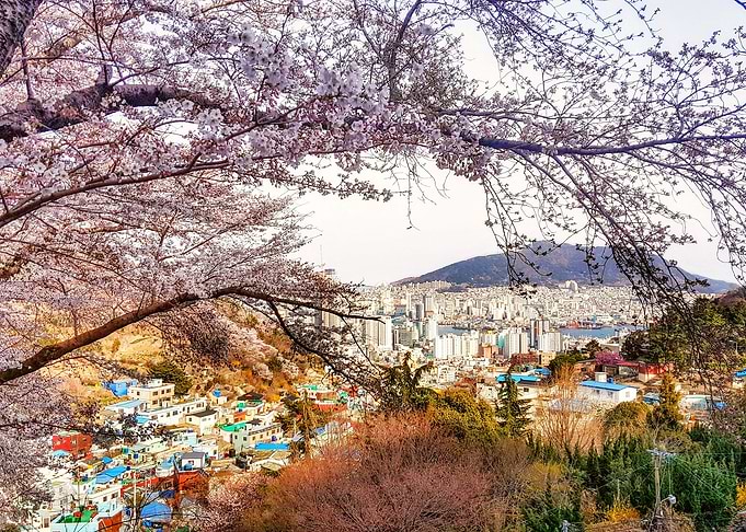 Aerial View of Busan