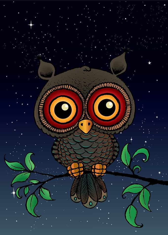Under the stars