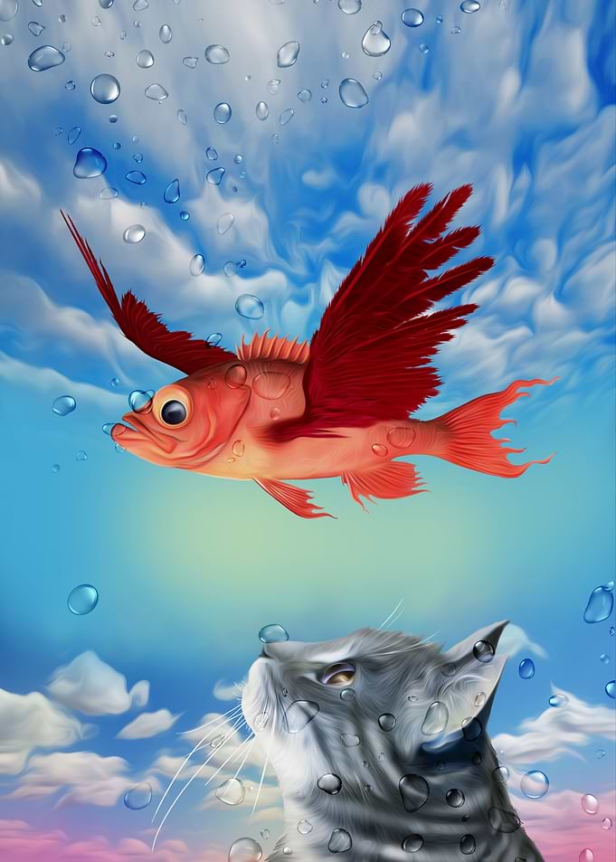 Cat and flying fish
