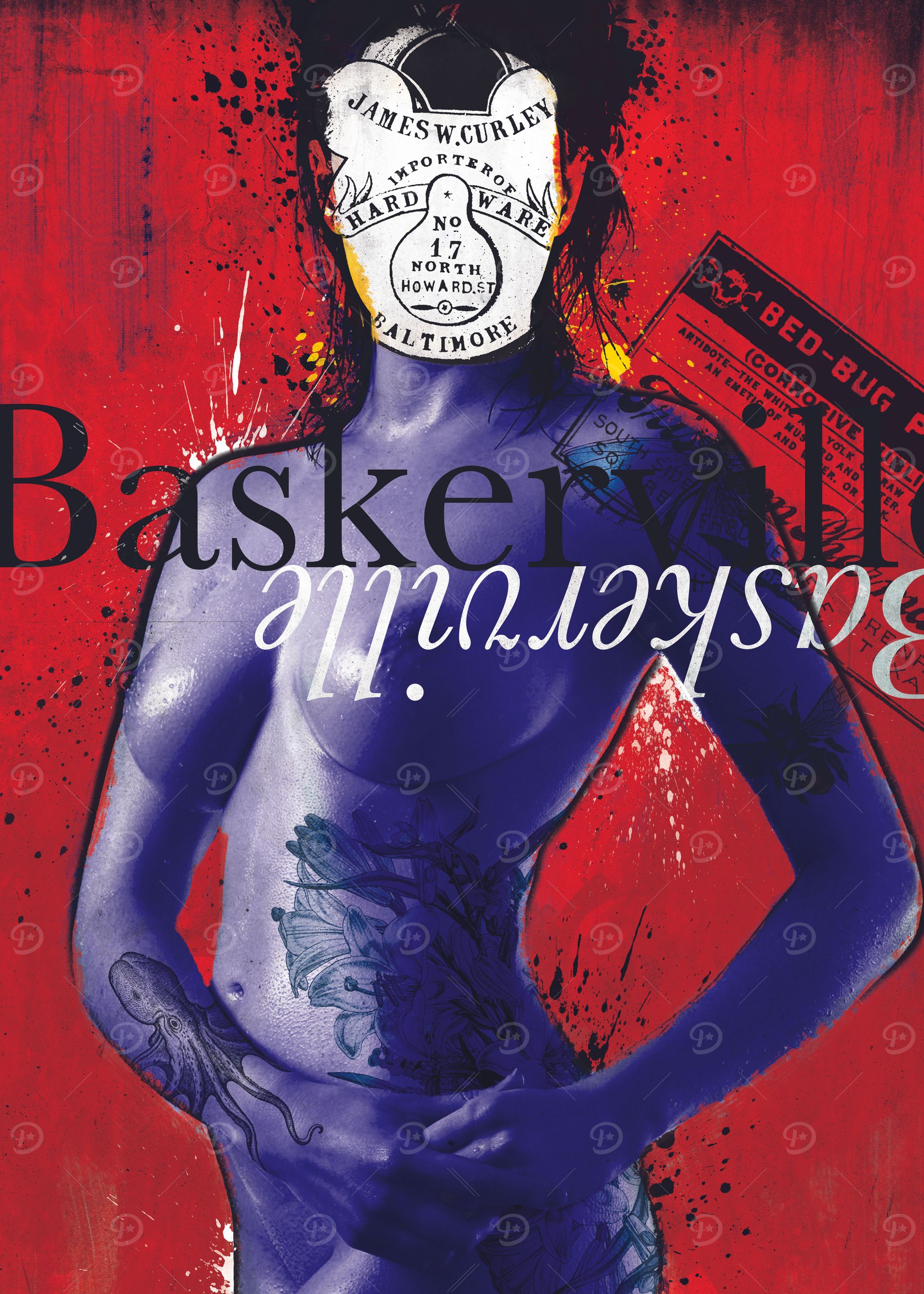 Lady Baskerville