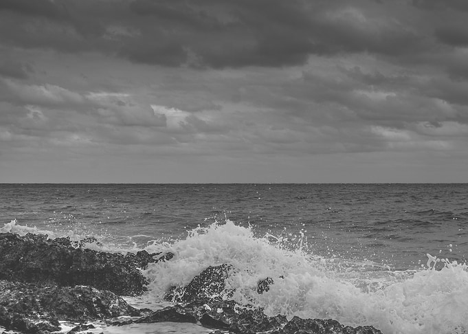 Wild nature series
