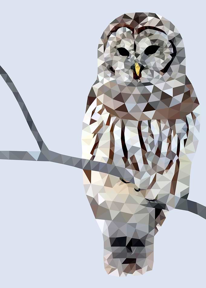 Yearn Owl