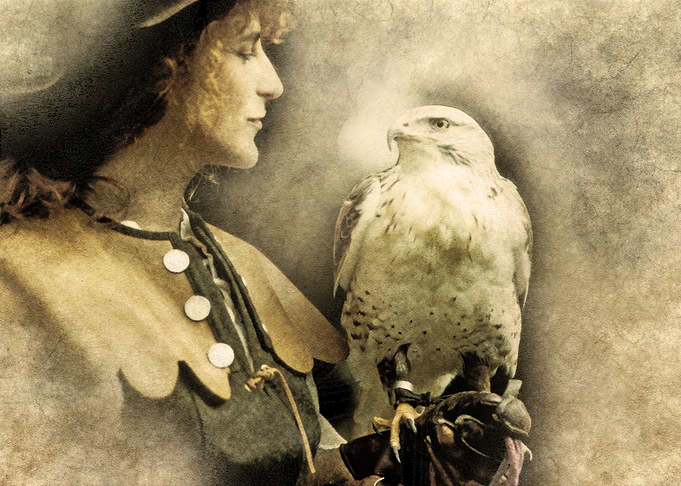 Falconer