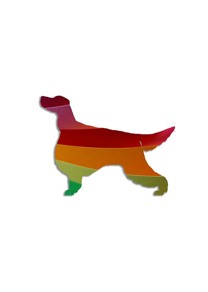 Gorson Setter
