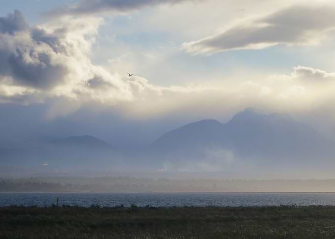 Tempestuous Olympics