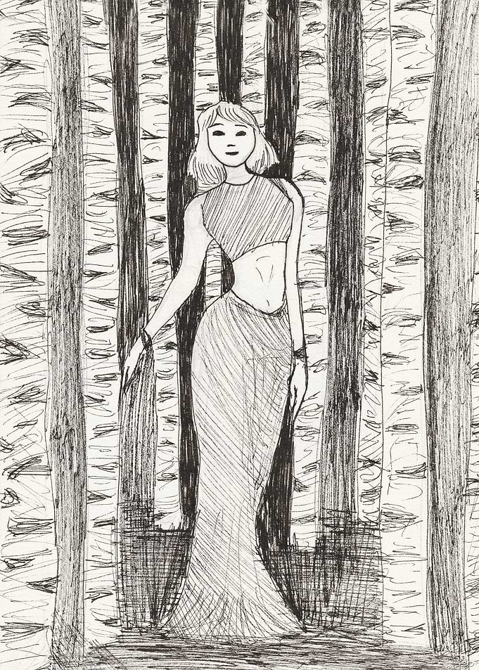 Birch