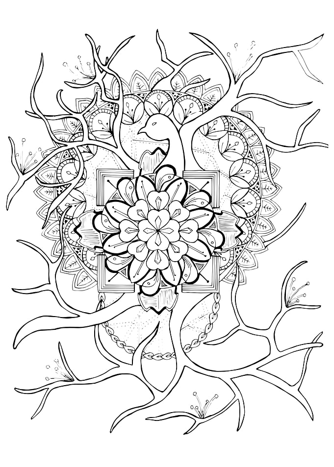 Branching Secrets