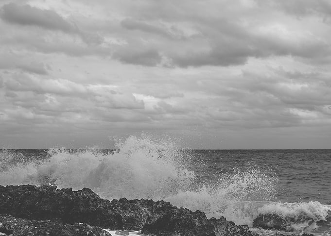 Wild nature series