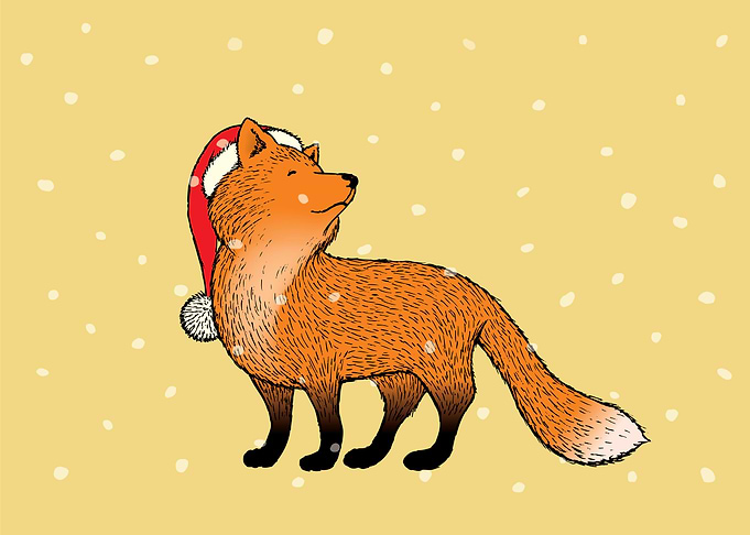 Santa fox