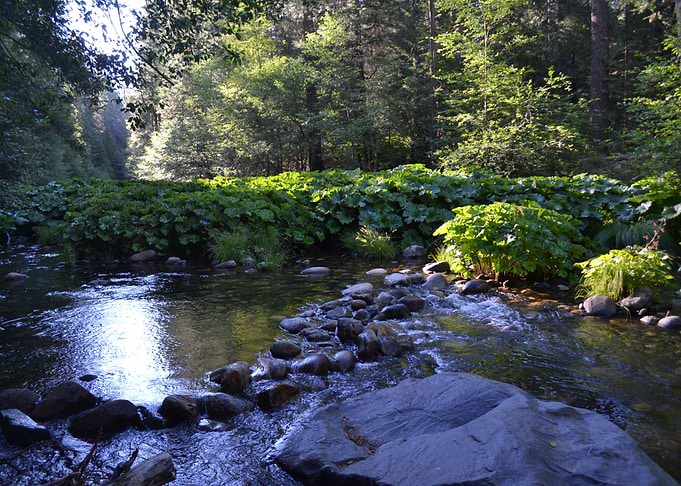 Running Stream