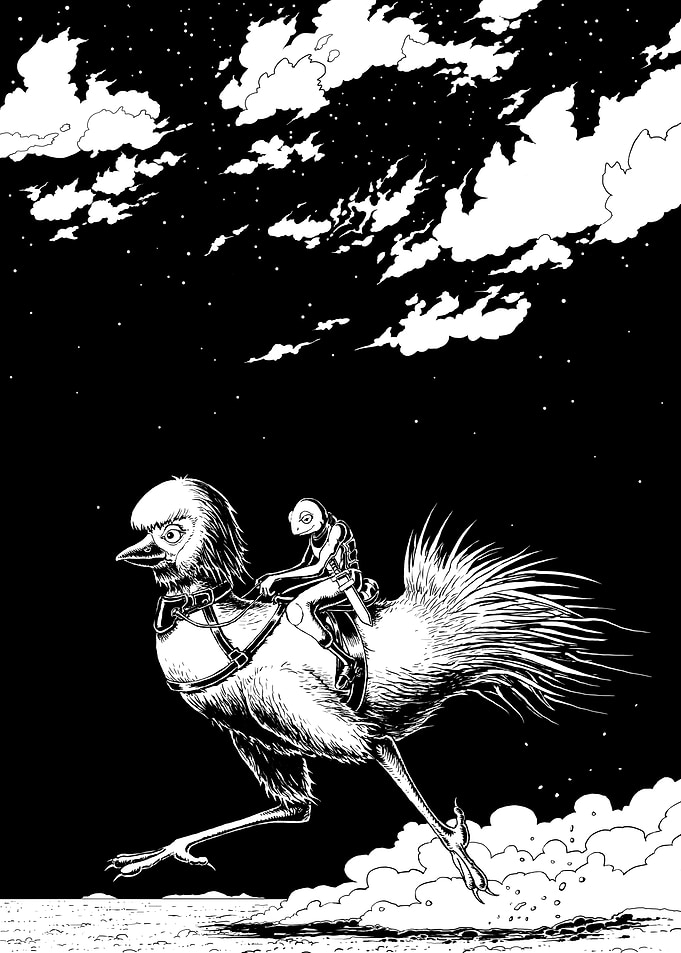 The Sprinter