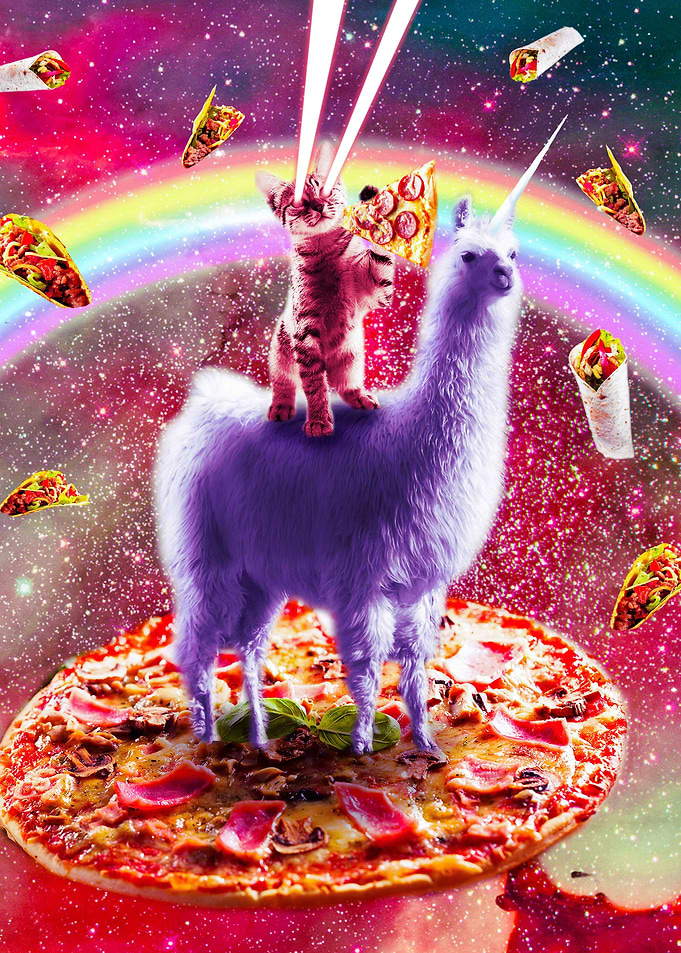 Cat Riding Llama