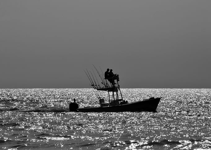 Fishing the gulf
