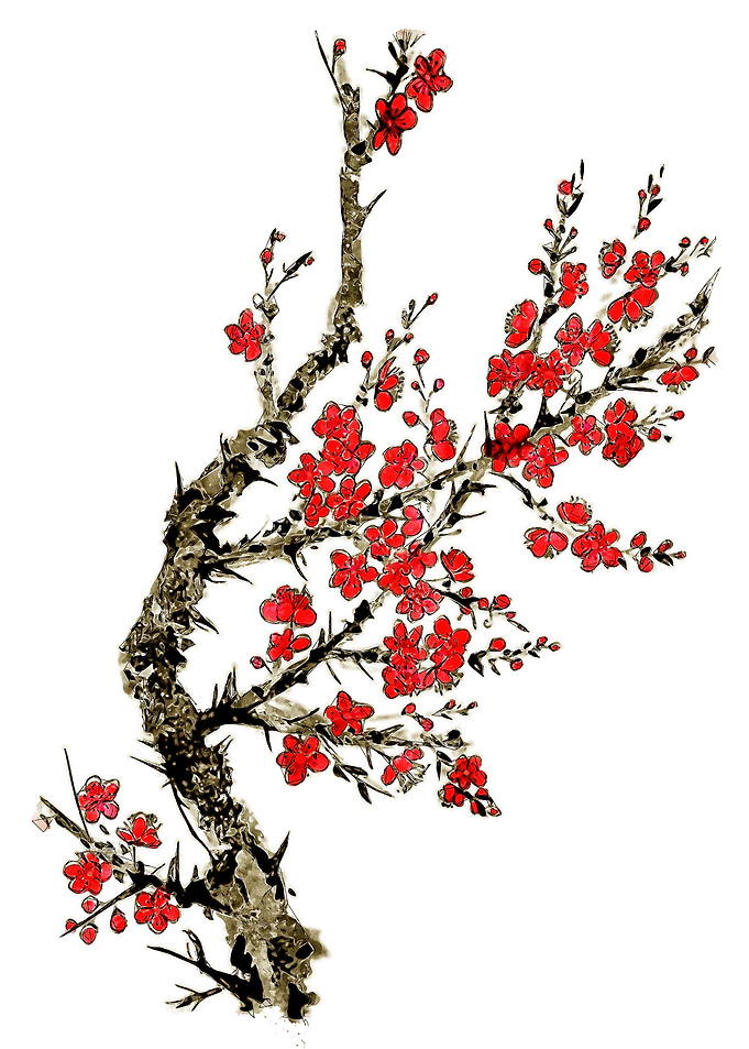 Cherry Blossom 2