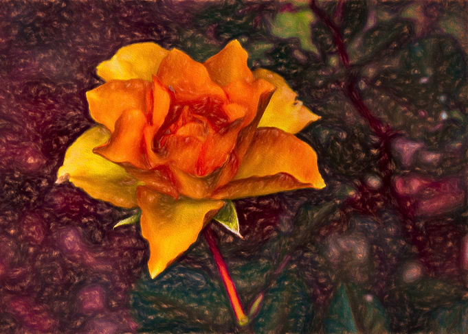 Cosmic Rose