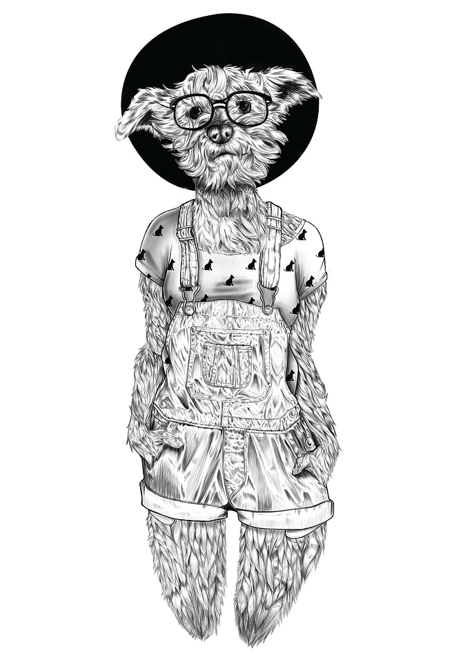 Bola Hipster