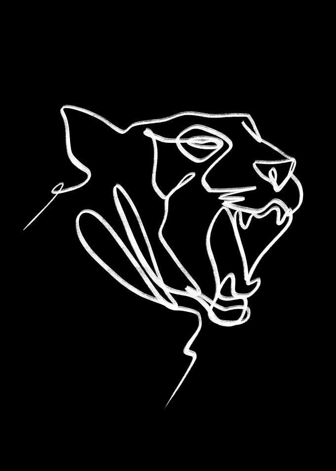 Wildcat