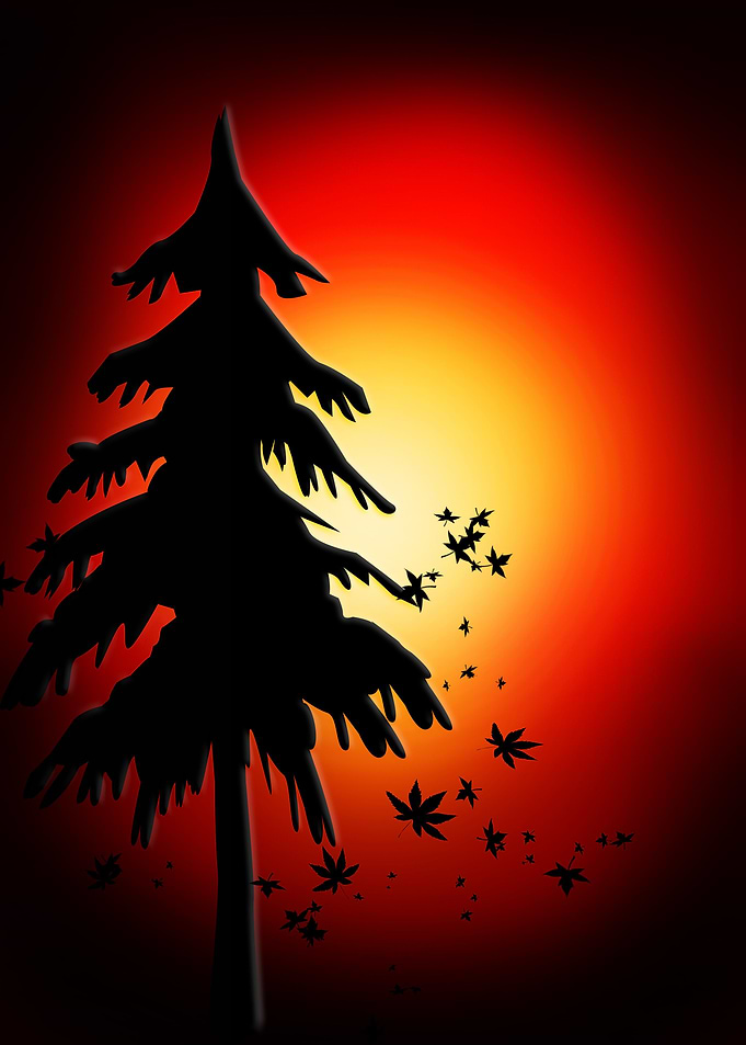 fall