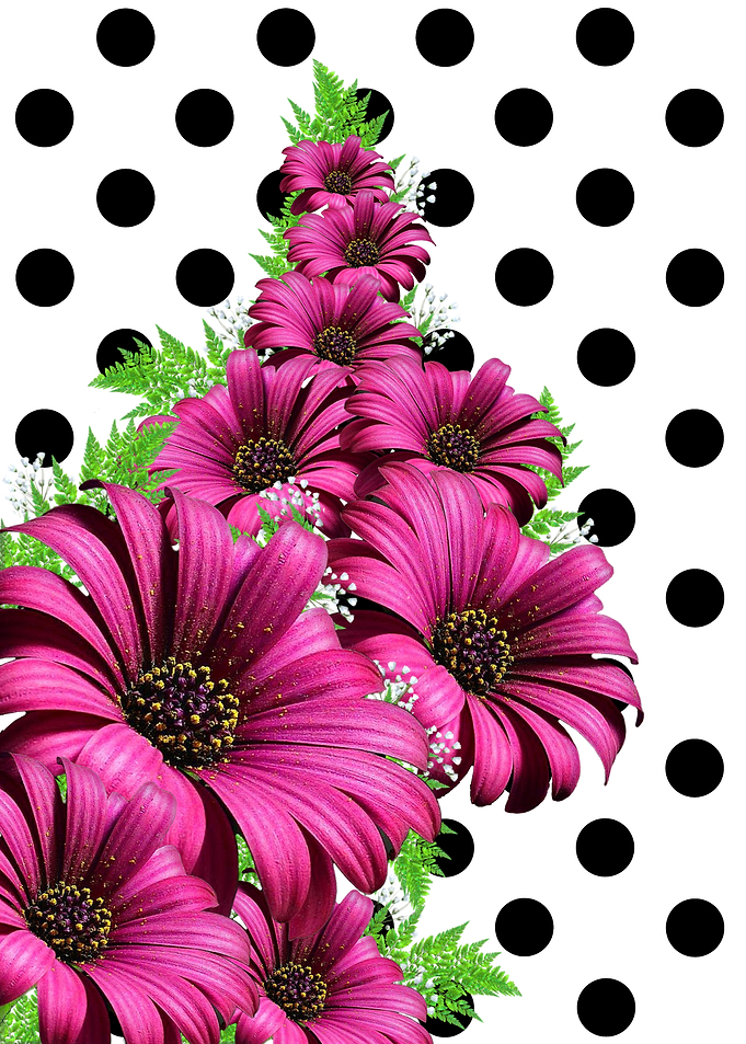 Daisy Polka Dot