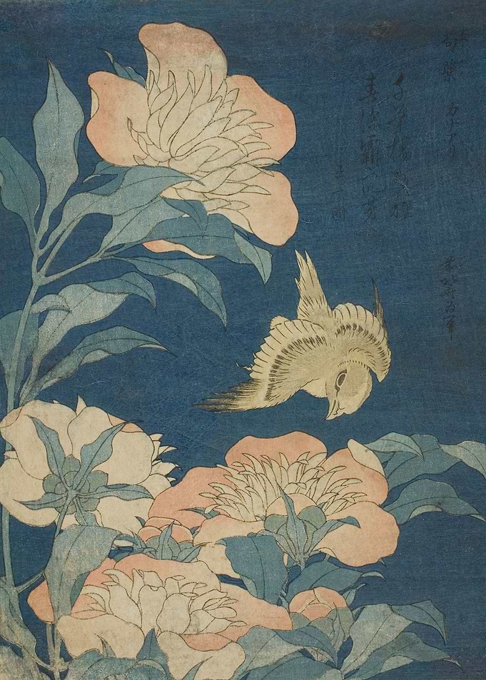 Canary and Peony