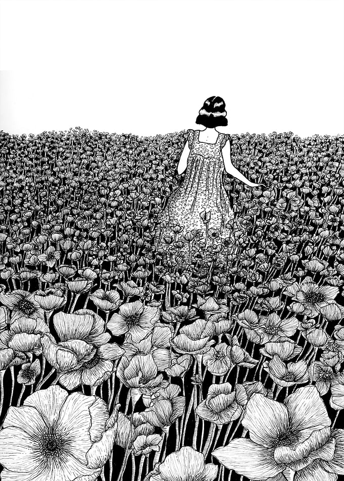 Field of Poppies