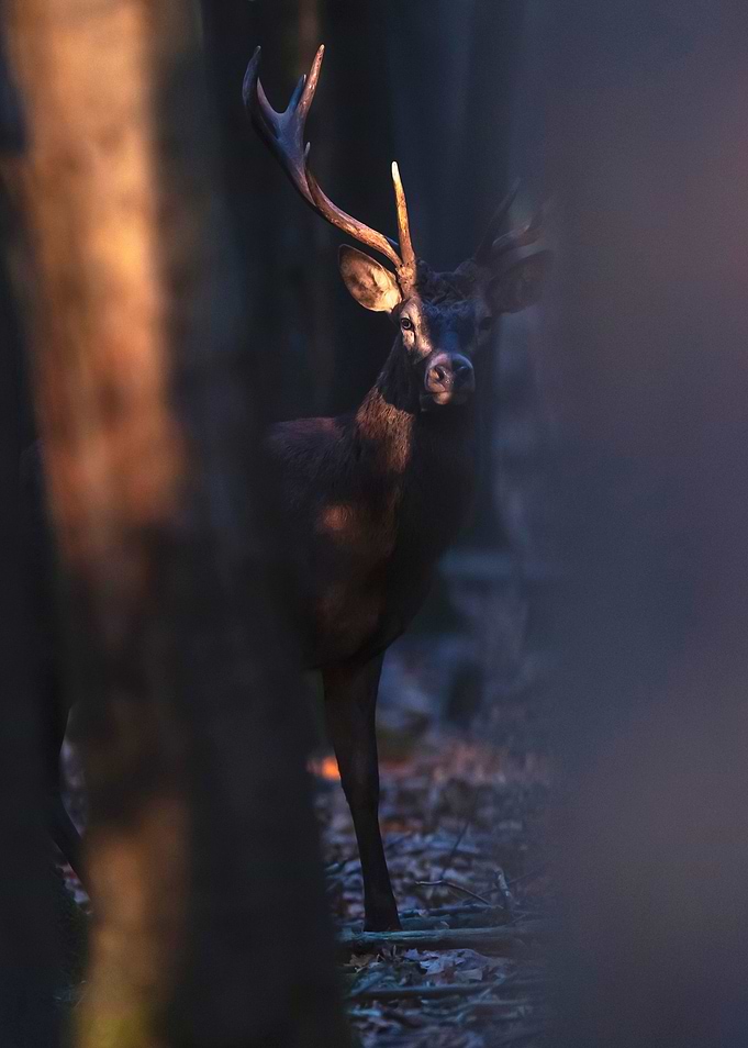 Caught by sunlight