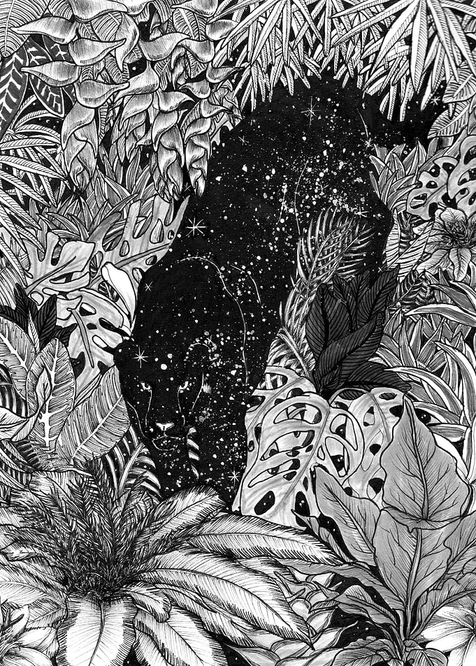 The Jungle at Night