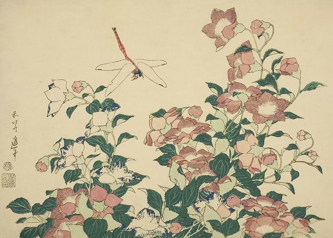 BellFlower and Dragonfly