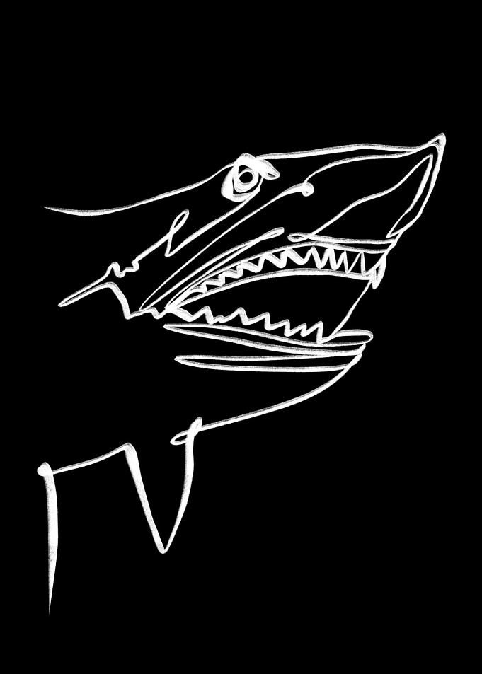 Megalodon