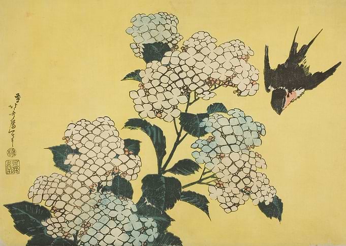Hydrangea and Swallow