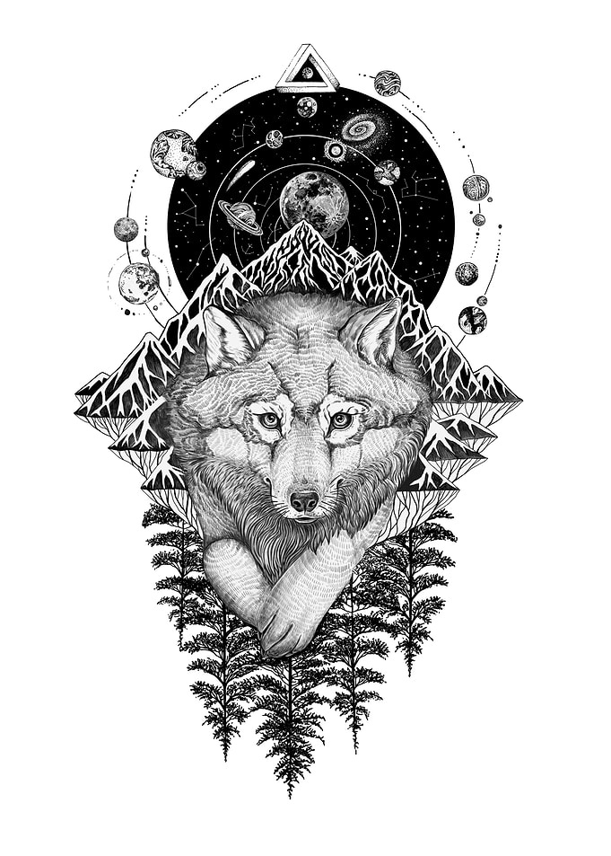 Cosmos Wolf space art