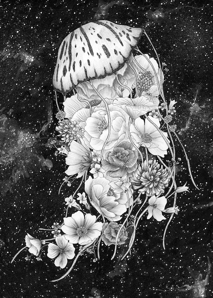Magic Ocean The Jellyfish