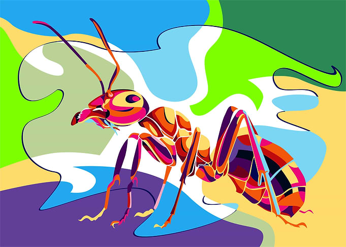 Ant in Water