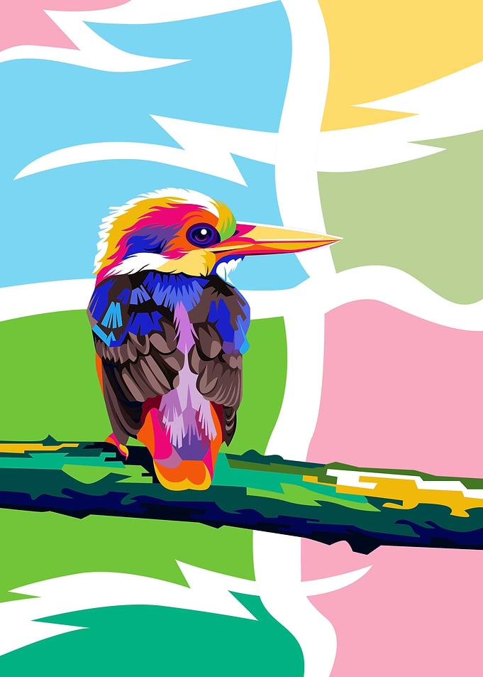 Beauty Bird