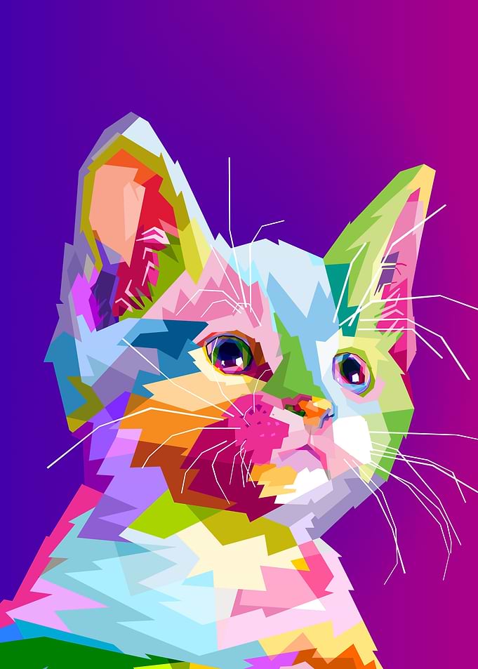 colourful cute cat