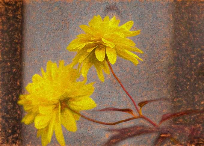 Double Yellow