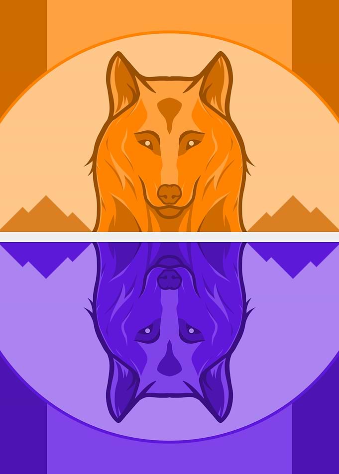 Wolf Reflection