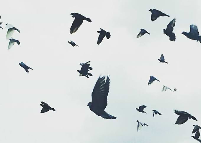 Be Free