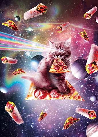 Space Pizza Cat