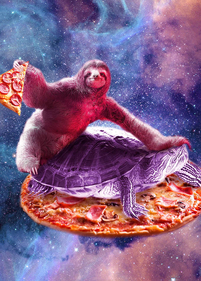 Trippy Space Sloth Turtle