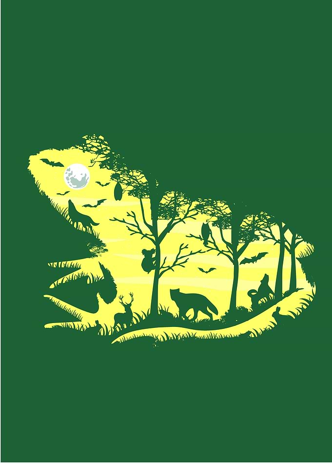 Froggy Night
