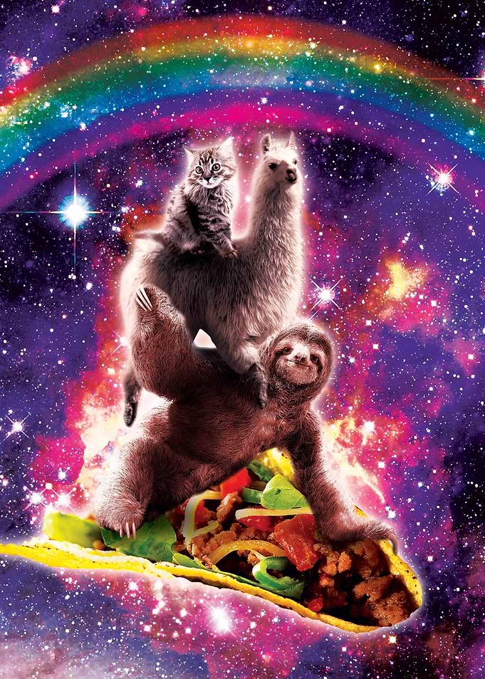 Cat Llama Sloth Taco