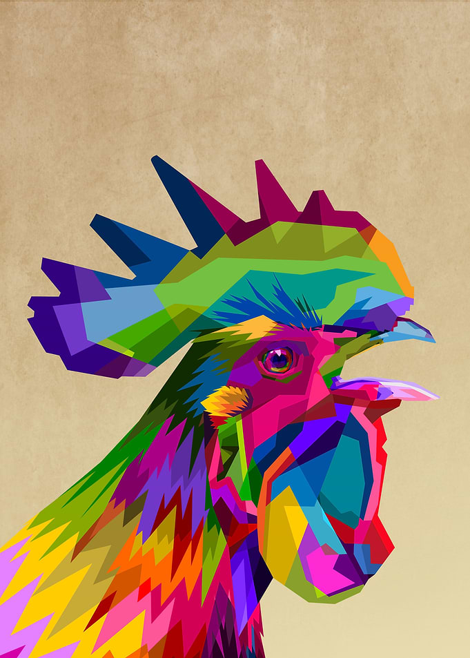 rooster crows