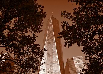 One World Brown