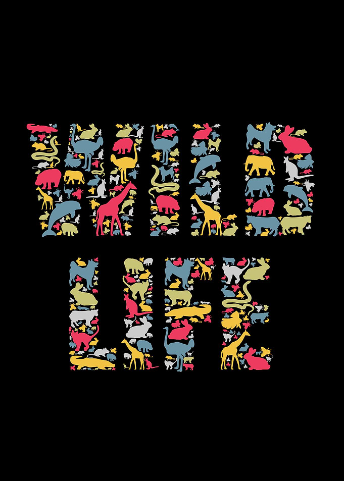 Wild Life