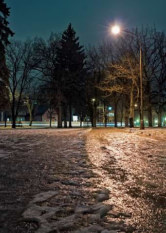 Path At The Park By Night