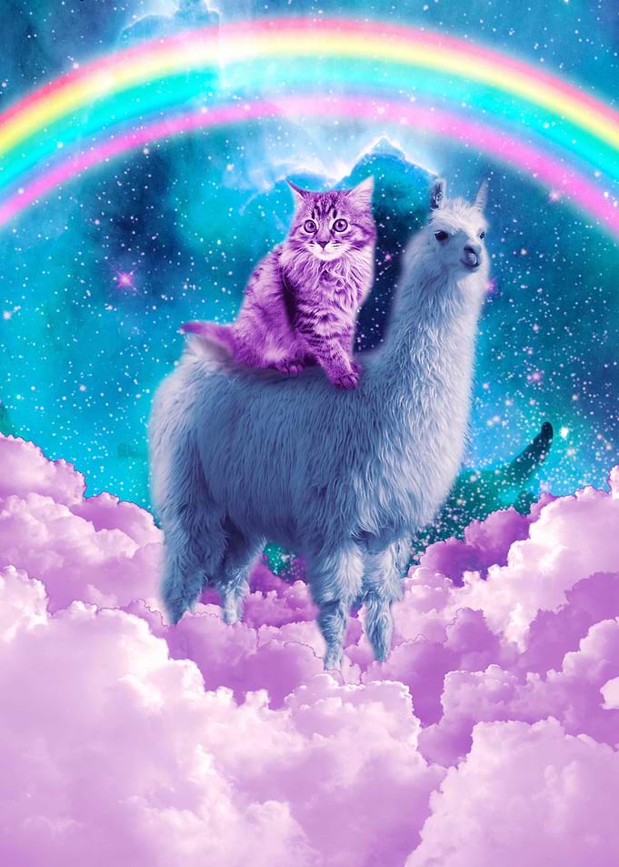 Rainbow Llama Cat Llama