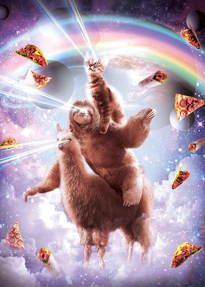 Laser Eyes Cat Sloth Llama